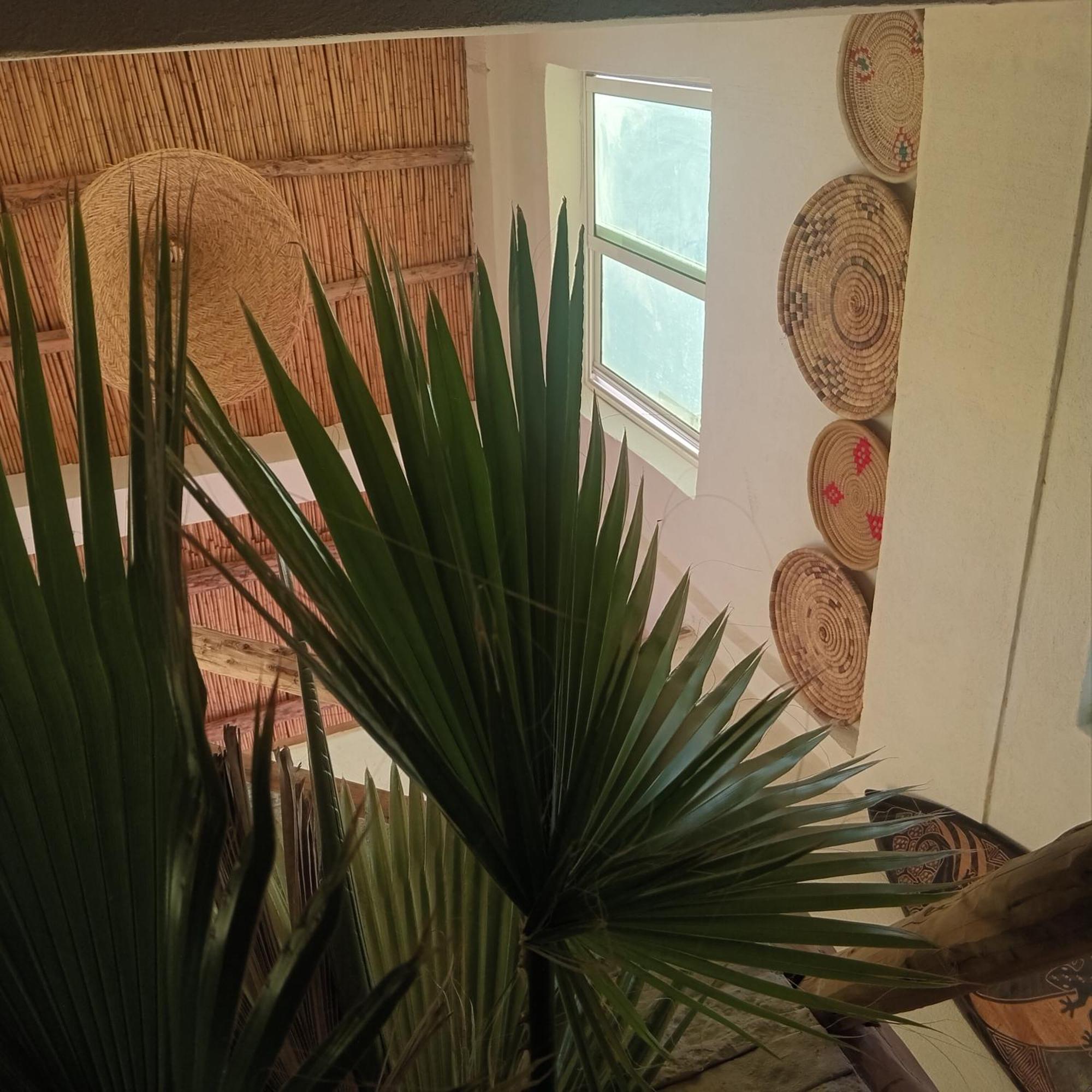 Moroccan Boho Surf House อกาดีร์ ภายนอก รูปภาพ