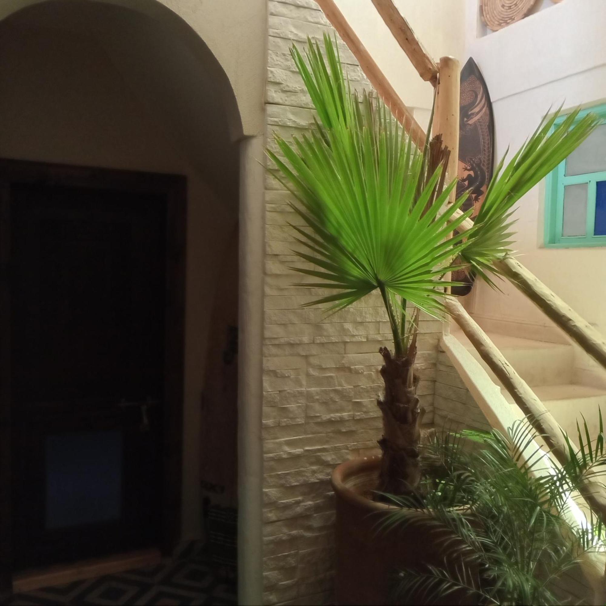 Moroccan Boho Surf House อกาดีร์ ภายนอก รูปภาพ